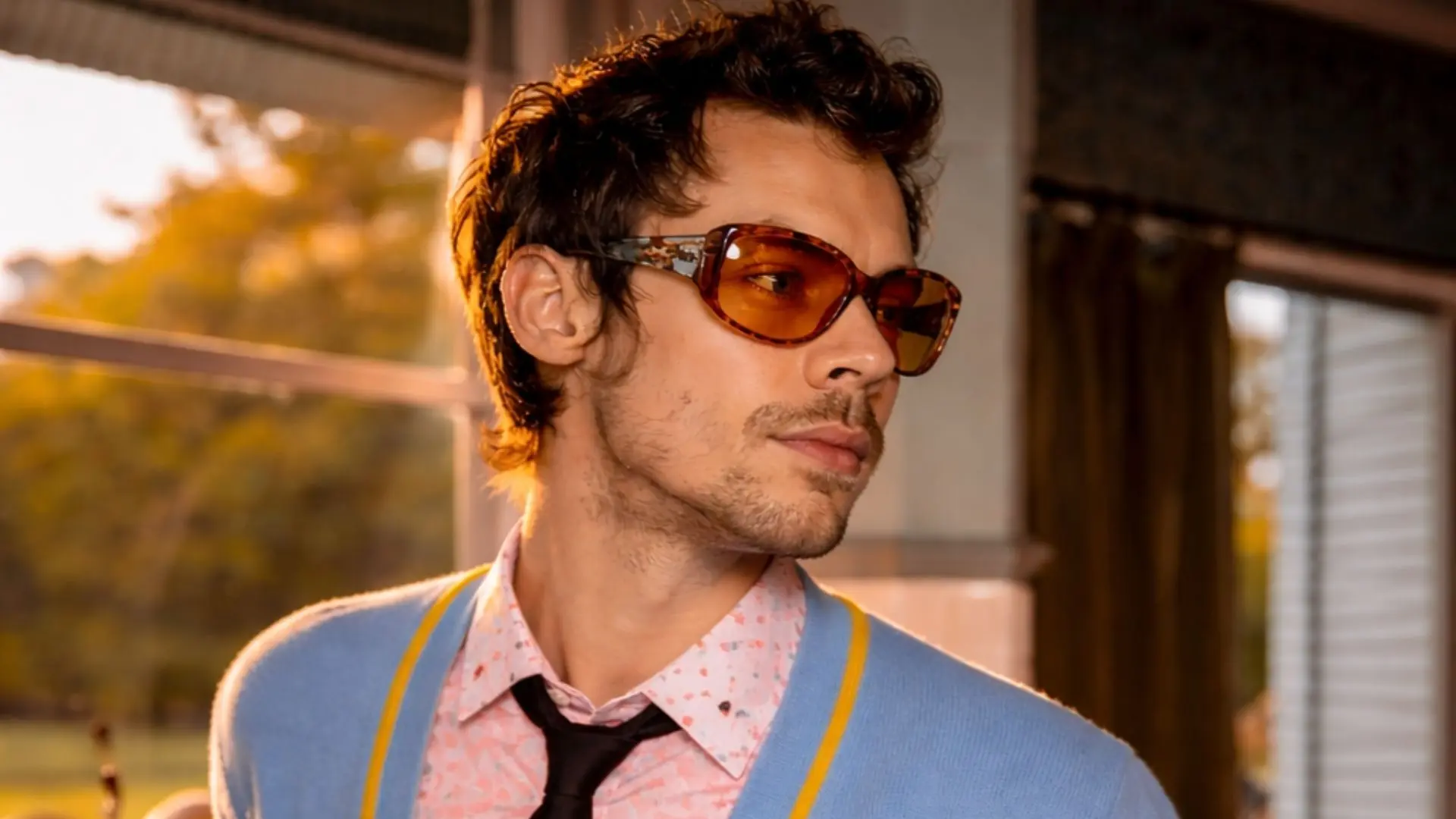 Harry Styles 2026 Presale Guide : Smart Moves Fans Are Making Right Now