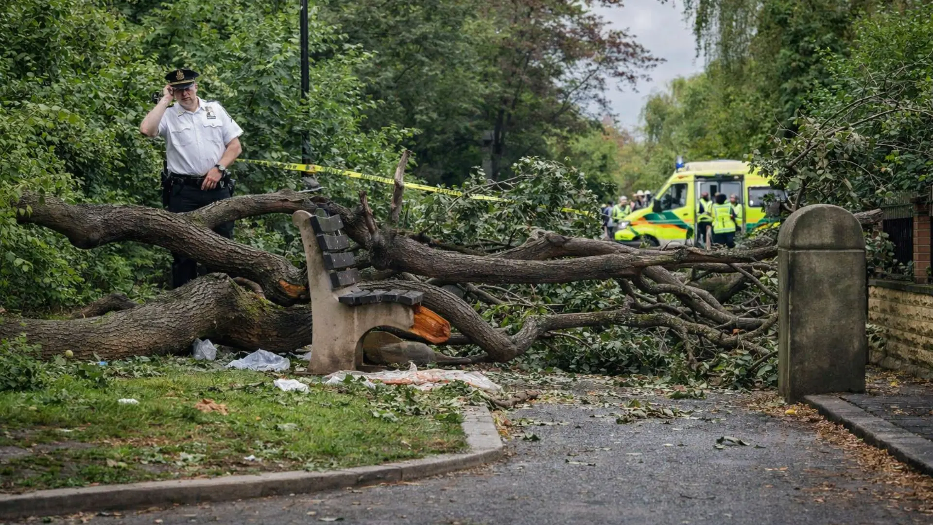 Woman Killed by Falling Tree